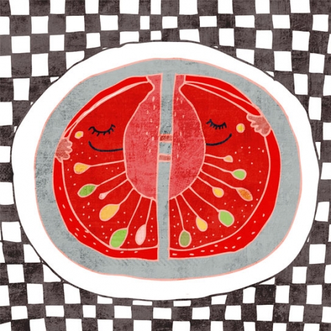 paradicsom