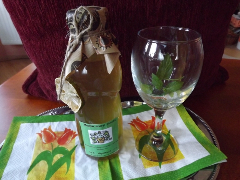 Falusiizek - Mojitó szörp, Ízporta