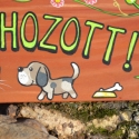 Isten hozott!, Állatfelszerelések, Otthon, lakberendezés, Utcatábla, névtábla, Famegmunkálás, Festett tárgyak, Fatáblára akril festékkel készült festmény. Az időjárás viszontagságaitól lakkréteg védi.

Minden tá..., Meska