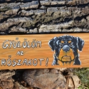 Gyűlölöm az erőszakot!, Állatfelszerelések, Otthon, lakberendezés, Utcatábla, névtábla, Famegmunkálás, Festett tárgyak, Fatáblára akril festékkel készült festmény. Az időjárás viszontagságaitól lakkréteg védi.

Minden tá..., Meska