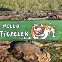 Helló, figyelek!, Állatfelszerelések, Otthon, lakberendezés, Utcatábla, névtábla, Famegmunkálás, Festett tárgyak, Fatáblára akril festékkel készült festmény. Az időjárás viszontagságaitól lakkréteg védi.

Minden tá..., Meska
