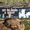 Itt én őrzöm a házat!, Állatfelszerelések, Otthon, lakberendezés, Utcatábla, névtábla, Famegmunkálás, Festett tárgyak, Fatáblára akril festékkel készült festmény. Az időjárás viszontagságaitól lakkréteg védi.

Minden tá..., Meska