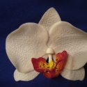 phalaenosis (lepke) orchidea virág fehér, Dekoráció, Otthon, lakberendezés, Dísz, Kaspó, virágtartó, váza, korsó, cserép, , Meska