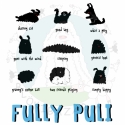 Kutyás ajándék: Fully puli - karcsúsított női kutyás póló, fehér, Ruha, divat, cipő, Magyar motívumokkal, Női ruha, Felsőrész, póló, Fotó, grafika, rajz, illusztráció, A fehér, nőies szabású pólóra digitális direktnyomással került rá a sok puli képe. 

A póló minősége..., Meska