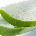 Kecsketejes Aloe verás- zöld algás szappan, Szépségápolás, Szappan, tisztálkodószer, Kecsketejes szappan, Növényi alapanyagú szappan, Szappankészítés, Az Aloe vera gyógyító hatása régóta ismert. Kisebb sebekre,horzsolásokra használják áttetsző, ragacs..., Meska