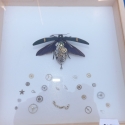 Steampunk keretezett bogár, Férfiaknak, Dekoráció, Mindenmás, Dísz, Mindenmás, Teljesen egyedi saját készítésű steampunk stílusú bogár. Teljesen egyedi, ilyet általában, csak kiál..., Meska