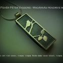 ÚJDONSÁG! Madárkás ezüst pendrive medál, Ékszer, óra, Medál, Madárkás ezüst pendrive medál.

Ez egy pendrive medál, ami azt jelenti, hogy egy 4 gb-os adathordozó..., Meska