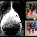 KALOCSAI mintás Rosie\\\'s Dog coll-art nyakörv pórázzal, Állatfelszerelések, Hímzés, Varrás, Kalocsai mintás, hímzett nyakörvek hozzá illő pórázzal, 1 m-ről 2 m-re bővíthető,melyekben megjelenn..., Meska