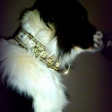 Rosie\'s Dog coll-art nyakörv (m), Állatfelszerelések, Varrás, Termékleírás 
Termékeim minőségi alapanyagokból készülnek. Kizárólag erre a célra gyártott  hegeszte..., Meska