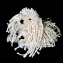 Puli, Dekoráció, Otthon, lakberendezés, Játék, Játékfigura, Mindenmás, Mókás kis puli kutyi.
Feje, teste törtfehér hullámos fonalból készített pompon. Lába zseníliadrót fo..., Meska