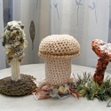 Varázslatos gombaerdő , Játék, Dekoráció, Otthon, lakberendezés, Készségfejlesztő játék, Horgolás, Anyaga: kötőfonal (pamut, gyapjú, akril), vatelin.

A legmagasabb gomba 18 cm, a legalacsonyabb 11cm..., Meska