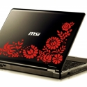 Laptop matrica - Magyaros - Ingyen posta!!!, Dekoráció, Férfiaknak, Dísz, Kép, Fotó, grafika, rajz, illusztráció, Mindenmás, Öntapadó vinyl fóliából vágott dekoráció.
Bármilyen színben kérhető!

Mérete kb. 24*15 cm


HASZNÁLA..., Meska