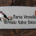 Tűzzománc névtábla, Otthon, lakberendezés, Férfiaknak, Utcatábla, névtábla, Tűzzománc, Egyedi,tűzzománc névtábla, megrendelésre készül.
Mérete: 7,5x15 cm (de egyedi méretben is rendelhető..., Meska