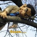 Mr Bean Kirándul..., Játék, Képzőművészet , Játékfigura, Illusztráció, Baba-és bábkészítés, Nemezelés, Elkészült az első darab a Színész Karikatúra sorozatomból. Mr Bean tűnemeteléssel készült. 60 cm mag..., Meska