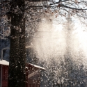Decemberi séta - fotó, Egy kellemes decemberi napon készült ez a fotó,...