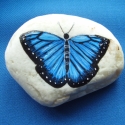 Kék lepke, Dekoráció, Otthon, lakberendezés, A kék lepke becsületes neve: Morpho peleides, hazánkban sajnos nem honos. Dél Amerikában, és a trópu..., Meska