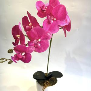 ORCHIDEA 1 SZÁLAS -PINK, Esküvő, Esküvői szett, Virágkötés, Kerámia kaspóban
mű orchidea+ levél
nem igényel gondozást,minden része maradandó, MESKA