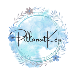 PillanatKep