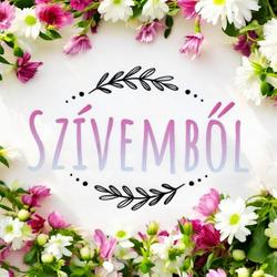 Szivembol