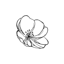 KankalinDesigns