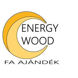 Energywoodgravir