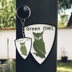 GreenOwl3D