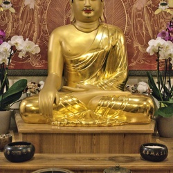 Shakti5