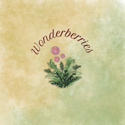 Wonderberries