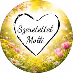 SzeretettelMolli