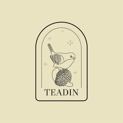 TeadinStudio