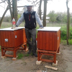 Aranyakacmeheszet Aranyakacmeheszet