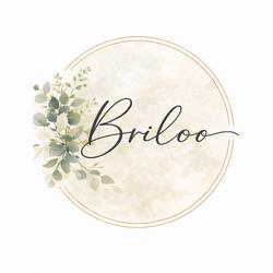 Briloo
