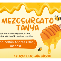 MezcsurgatoTanya