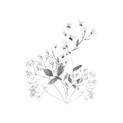 SurmanLiliDesign