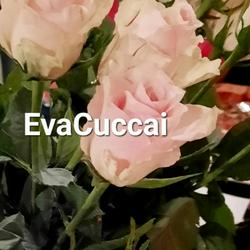 EvaCuccai