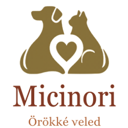 Micinori