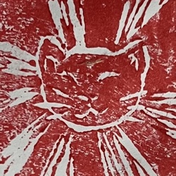 nyarcica