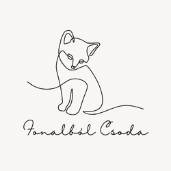 FonalbolCsoda
