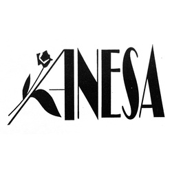 Anesa