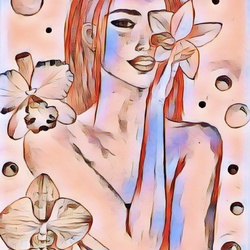 Dorchydea Dorchydea