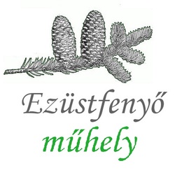 Ezustfenyomuhely Ezustfenyomuhely