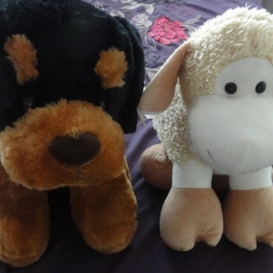 Jbgifts Jbgifts