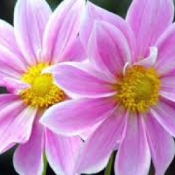Katalin550 Katalin550