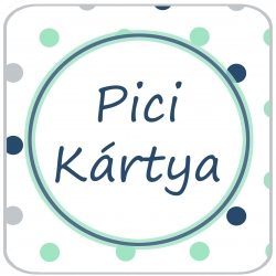 PiciKartya PiciKartya