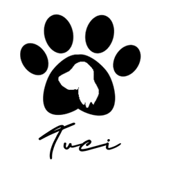 TuciDesign TuciDesign