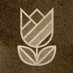 Tulipanekszer