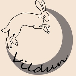 Vildun