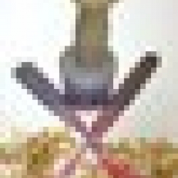 csodafa
