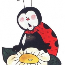 ladybug67 ladybug67