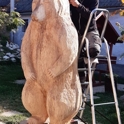 lancfureszesfafarago lancfureszesfafarago